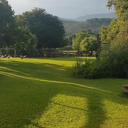 Thandamanzi Self Catering Sabie Extérieur photo