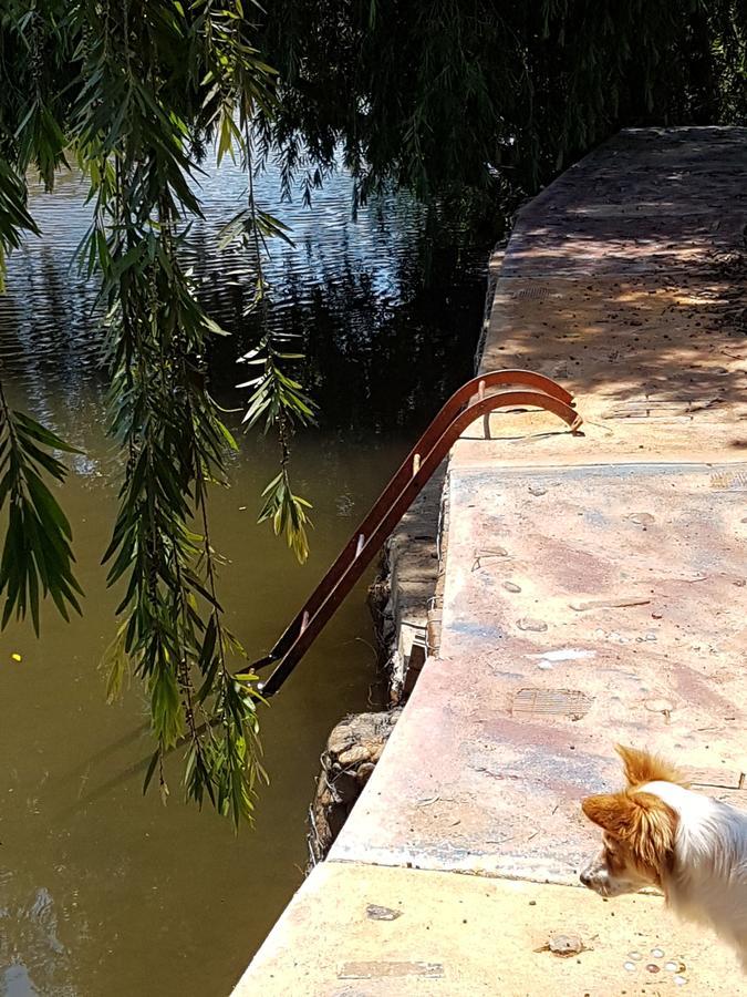 Thandamanzi Self Catering Sabie Extérieur photo